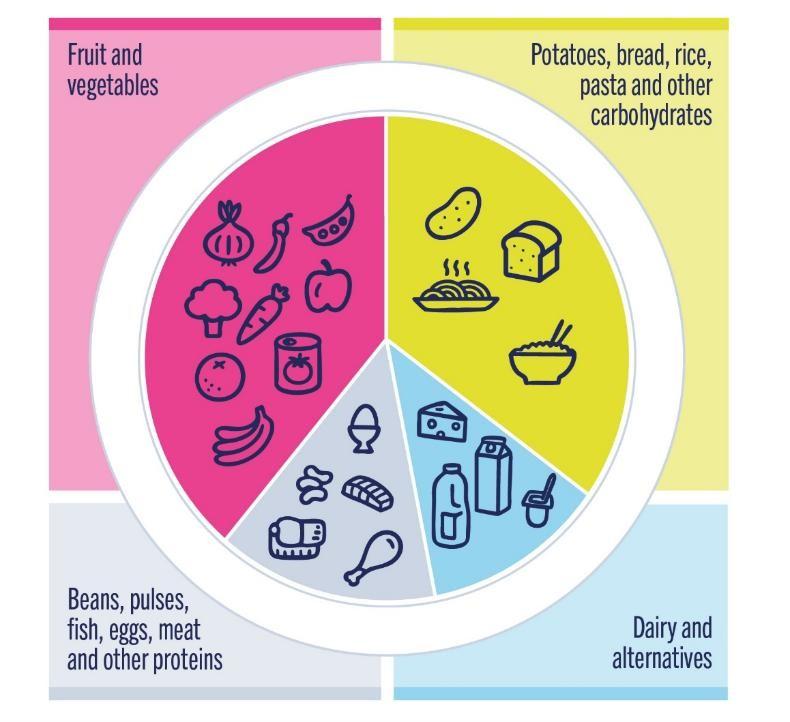 Plate diagram showing a balanced meal