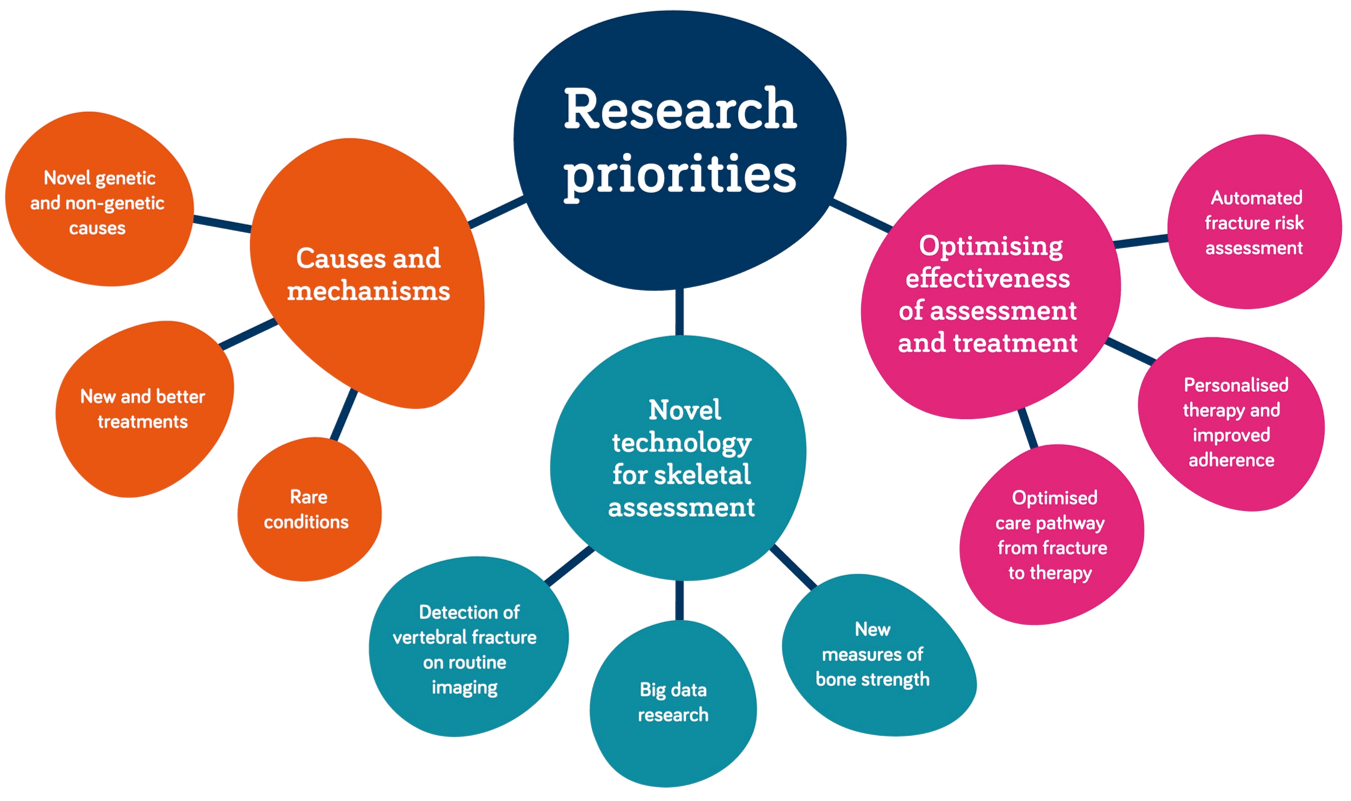 Diagram of ROS research priorities