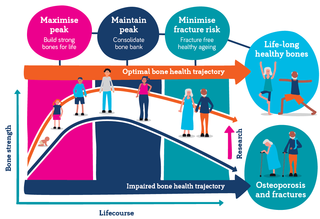 ROS research roadmap lifecourse diagram